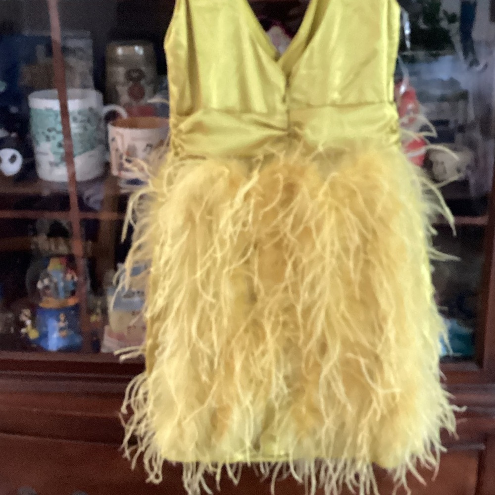 Glamorous Yellow Satin and Feather Dress - Picture 4 of 7